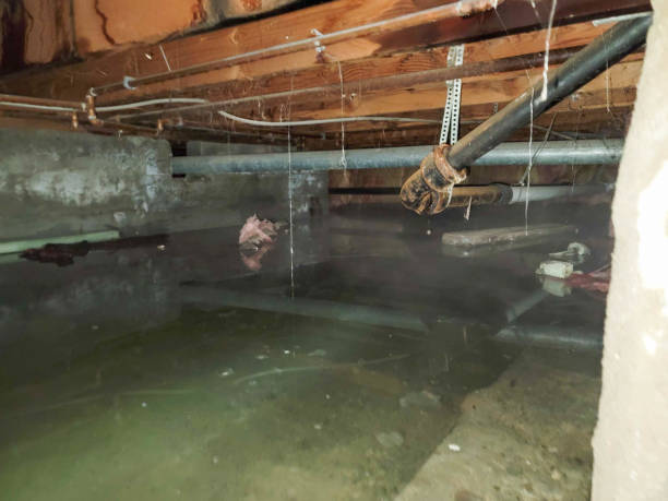 Water damage restoration insurance claims in Mill Bay, AK