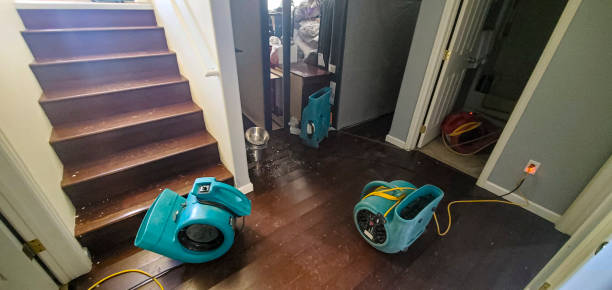 Local water damage restoration in Mill Bay, AK