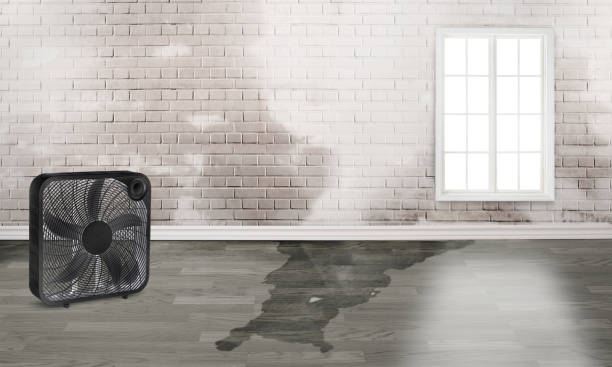  Mill Bay, AK Water damage restoration Pros