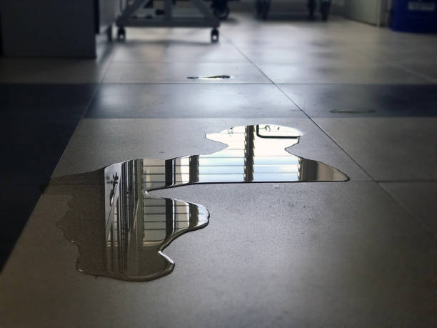Best Commercial water damage restoration  in Mill Bay, AK