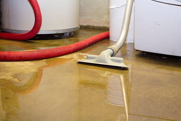 Best Ceiling water damage repair  in Mill Bay, AK