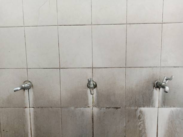 Best Water damage restoration near me  in Mill Bay, AK