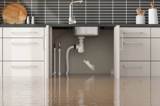 Best Water damage restoration insurance claims  in Mill Bay, AK